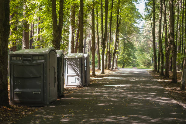 Best Affordable portable toilet rental  in Chandler, IN